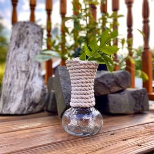 Propagation vase